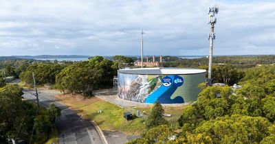 A real hoot: striking wildlife mural turns water tank into work of art