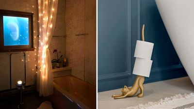 Weird sh*t under $25 that'll make your bathroom way bougier