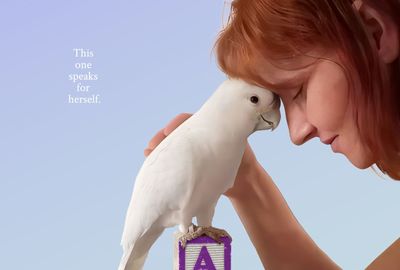 Polly want a grief counselor?