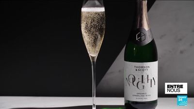 A spotlight on the growing popularity of non-alcoholic wine