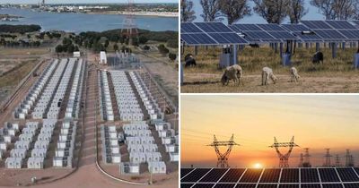 Hunter renewables boom as part of largest energy tender in state's history