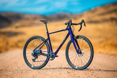 'A gut punch' – Pioneering US bike brand's future endangered, according to reports