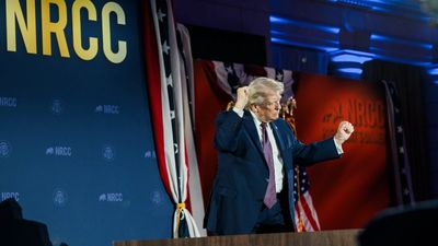 ‘Graphic image’: Donald Trump tried covering his bruised hand with makeup. Then a White House event exposed what he was hiding