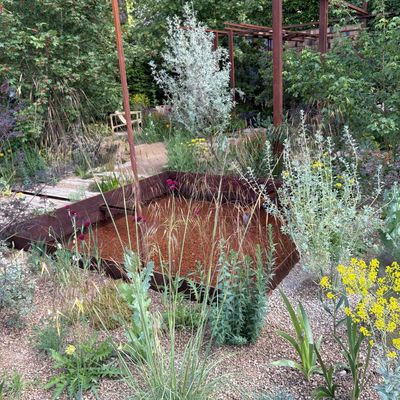 6 RHS Chelsea Flower Show 2026 garden trends that are actually achievable at home – and work in small gardens, too