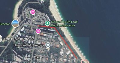 Council's parkland pathway plans to cut through 'much loved' natural foreshore