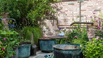 Inside the 5 Most Inspiring Gardens at RHS Chelsea 2026 – and How to Steal Their Best Ideas