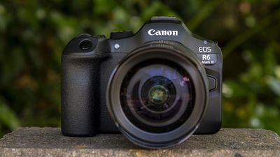 Canon says the EOS R6 III has more than 50 upgrades over the Mark II, but here are the six significant improvements that get my vote!