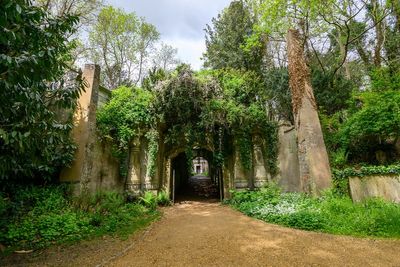 Historic cemetery where Karl Marx is buried secures major funding to tackle climate change