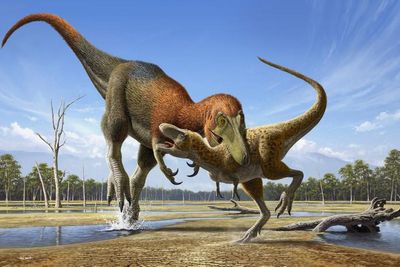 New study explains why T rex had such tiny arms: ‘The head took over’