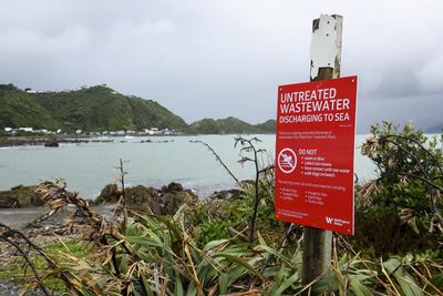 ‘How are we going to survive this?’ Wellington faces six-month wait to halt sewage spill