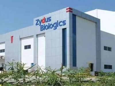 Zydus Lifesciences shares soar 7% to fresh record high after Q4 results. Should you buy, sell or hold?