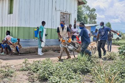 Ebola, hantavirus show world's risk preparedness lagging: Pandemic expert