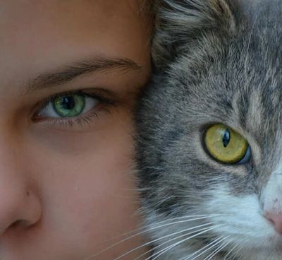 Why Animal Eye Contact Feels So Intense and Strange