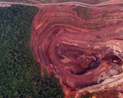 Rainforests pushed to breaking point by new demands for resources, report says