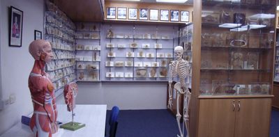 For decades, Australian institutions have displayed stolen human remains. But there’s a way forward