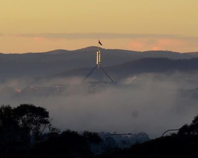 Albanese’s department among those blocking 80% of FoI requests, scathing report finds