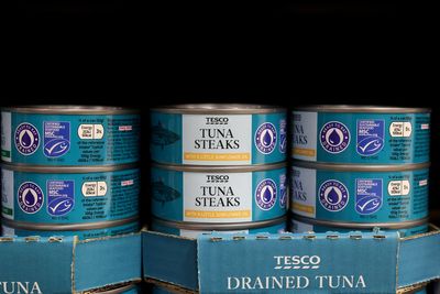 TikTok influencers help tinned fish scale ‘height of culinary fashion’