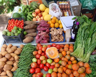 Just what the doctor ordered: Brazil’s drive to ditch UPFs from hospital menus