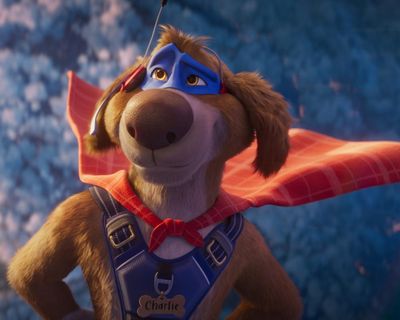 Charlie the Wonderdog review – pooch v puss caper beams Owen Wilson up from the wilderness