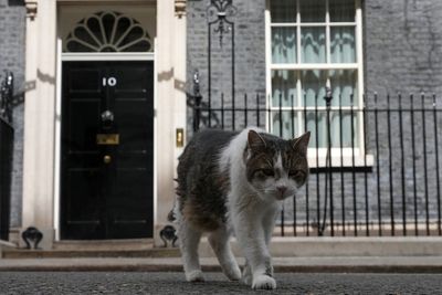 Starmer jokes Larry the cat ‘went through the roof’ over Renters’ Rights