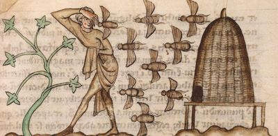 Why early medieval Ireland had laws for bees