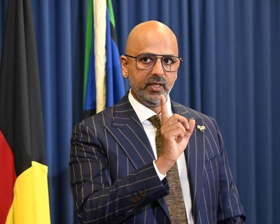 ‘Vein of racism’: race discrimination commissioner accuses One Nation and Coalition of scapegoating immigrants