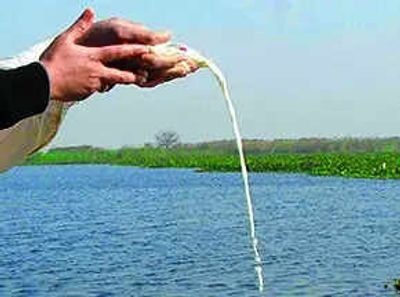 NGT seeks CPCB report on whether pouring milk into rivers during rituals causes pollution
