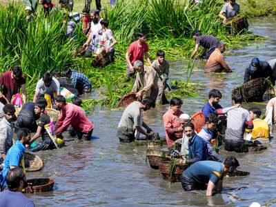 400-year-old Panzath festival in Kashmir revives community spirit and river conservation