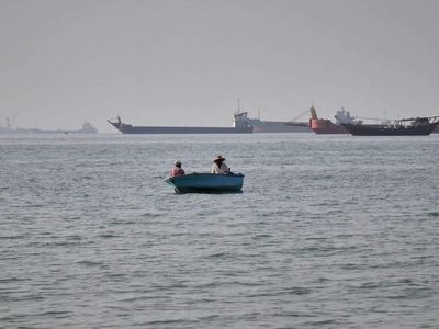 Hormuz closure could trigger 'agrifood shock', price crisis within a year, FAO warns