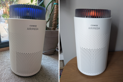 Coway’s air purifier is surprisingly powerful for its affordable price
