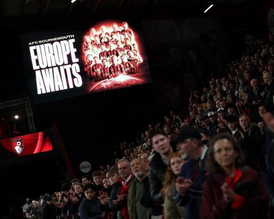 Bournemouth race to upgrade Vitality Stadium before first season in Europe