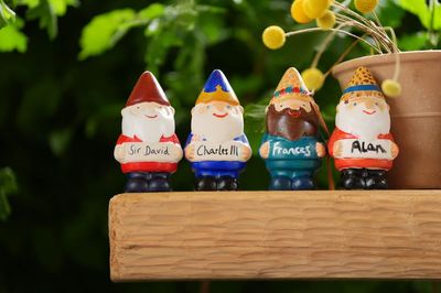 OPINION - What’s growing at Chelsea Flower Show? Signs of British inequality