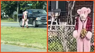 Virginia parents panic after lunatic in Pink Panther costume tries to abduct kids from school bus, suspect still loose