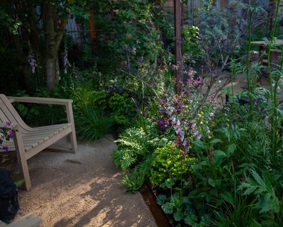 ‘Imperfections are what give us character’: a prickly garden to help teenagers blossom