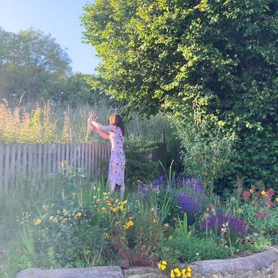 I used to think you could 'finish' a garden in a year or two – since then I've discovered why gardens take so long and why that’s actually the best bit