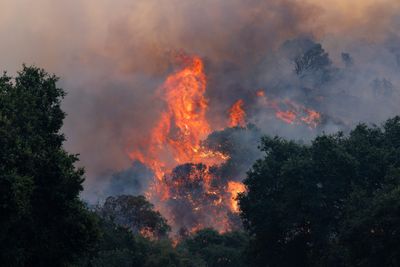 Sandy Fire Forces Over 43,000 Simi Valley Residents to Flee as Wind-Whipped Blaze Refuses to Yield