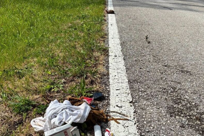 Indiana man found dancing on side of highway with rare turtle and meth, cops say