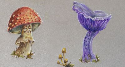 This artist crafts magical shroom people using pencils and pastels