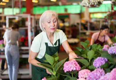 Aging Workforce to Grow 97%: BLS Projects the 75+ Labor Force Will Outpace All Other Age Groups