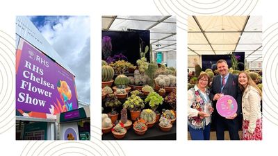 Ever wondered what it takes to exhibit at the RHS Chelsea Flower Show? We chatted to award-winning growers to find out