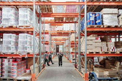 How Efficient Logistics Boosts Profitability: Insights from Salomon Murciano