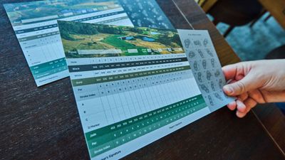 'Why Do Some Clubs Persist In Running Competitions From The Back Tees, Precluding Lesser Mortals From Taking Part?'