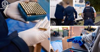 Man accused of trying to import anti-Semitic literature, firearm