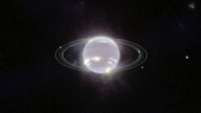 Where did Neptune's mysterious moon Nereid come from? It may be the only survivor of the planet's violent history