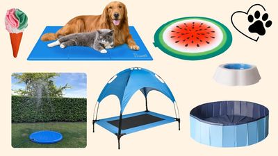 Calling all pet owners – we've found everything you need to keep your furry family members cool