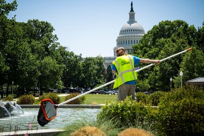 Trump hopes Americans notice his new water fountains as poll shows staggering voter disapproval over cost of living