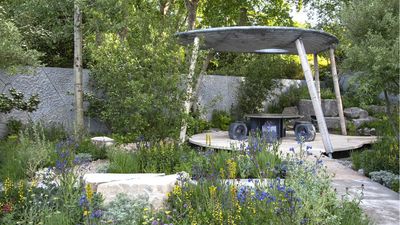 5 Resilient Planting Ideas From the RHS Chelsea Flower Show That Will Future-Proof US Gardens