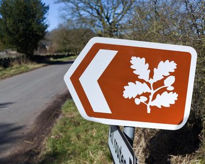 Influencer fees: why the National Trust is making TikTokers cough up