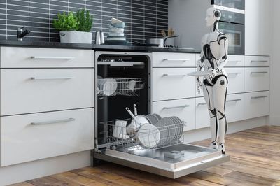 Take a load off: how soon before a humanoid robot will be doing your dishes?