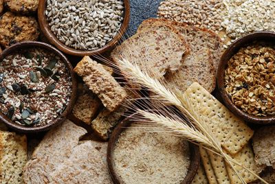 India needs to raise food grains production to 450 million tonnes by 2047: Chaudhari